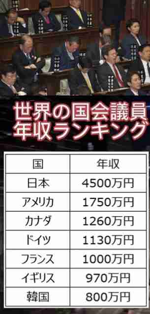 動物、ペットがのほほんと寝てる画像を見せて下さい