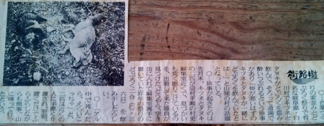 動物、ペットがのほほんと寝てる画像を見せて下さい