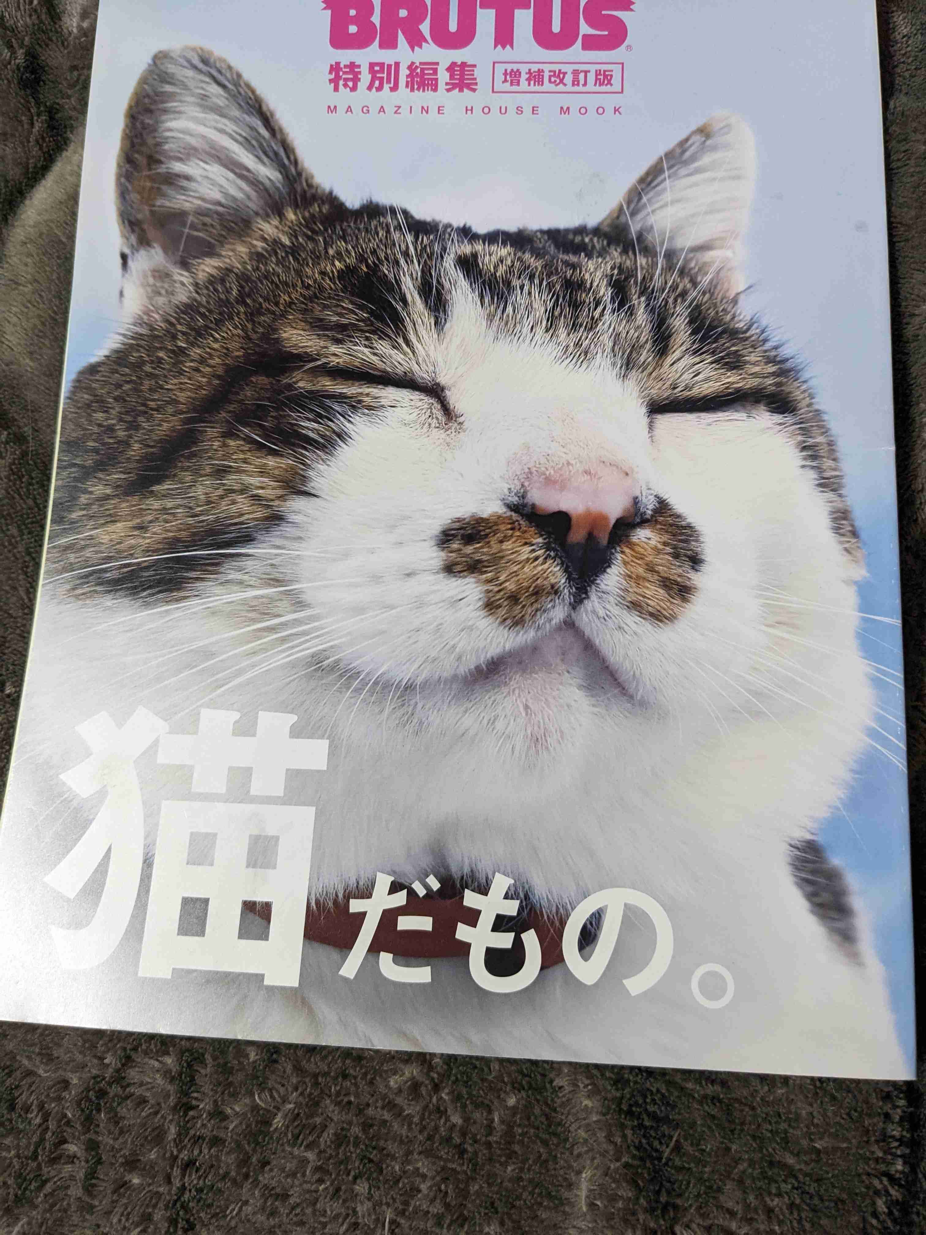 動物、ペットがのほほんと寝てる画像を見せて下さい