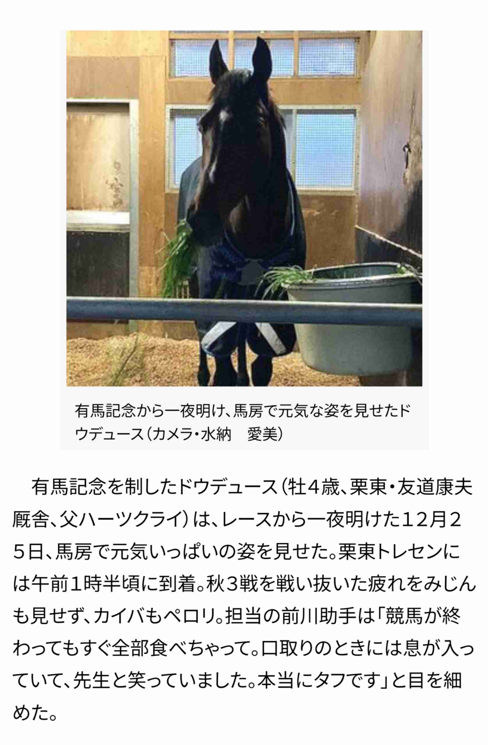 【第68回】有馬記念大予想トピ!【2023】