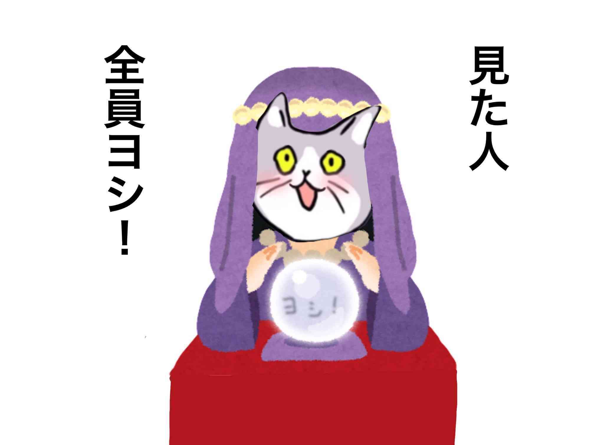 「しいたけ占い」を毎週チェックしてるガル民