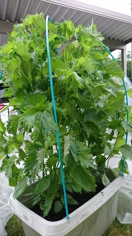 2023年の趣味成果発表会❣️