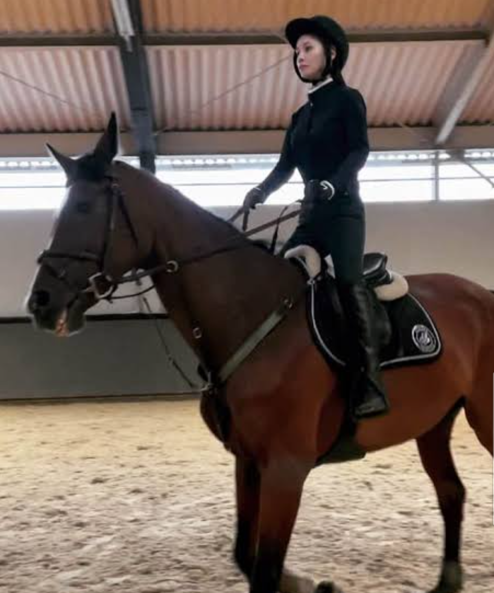 ダレノガレ明美、盗難被害のアルファードを「取り戻しました」と報告　現在の状況も説明