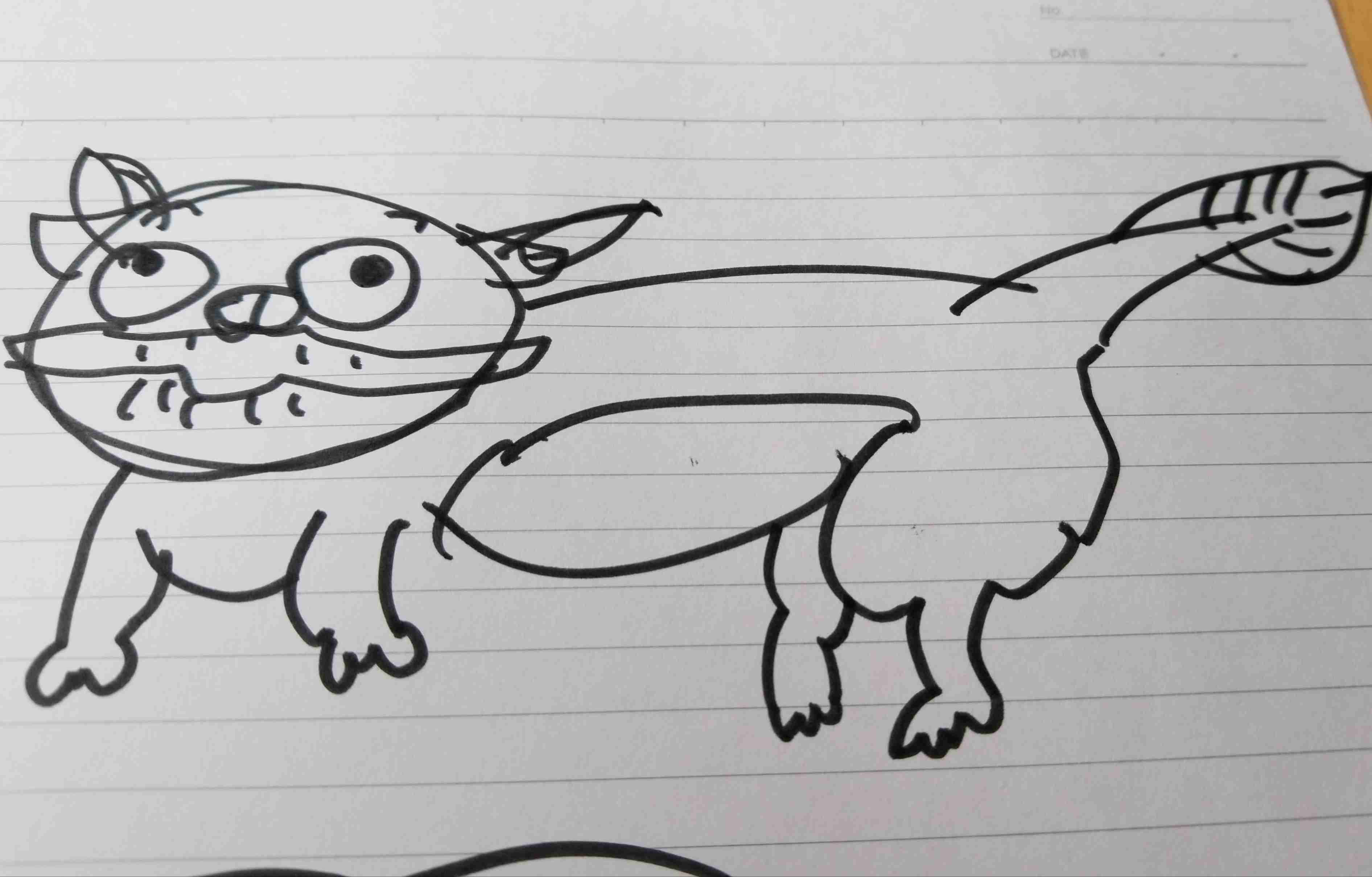 不思議な落とし物