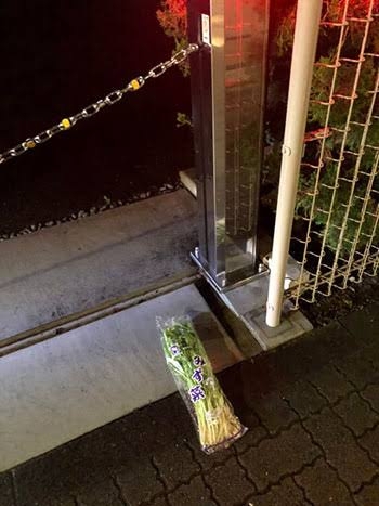 不思議な落とし物