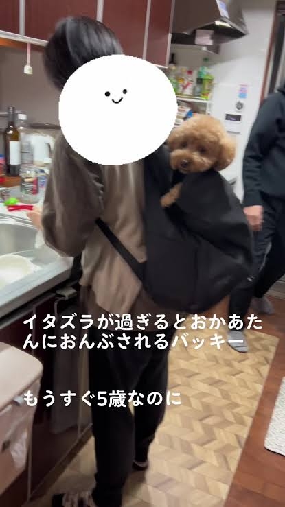 ｢子どもは欲しくない｣｢子どもがかわいいと思わない｣という意見を全力で否定する勢力に返す