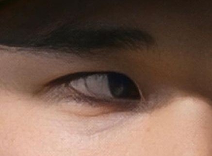 目だけで有名人を当ててください