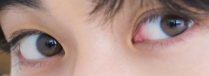 目だけで有名人を当ててください