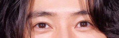 目だけで有名人を当ててください