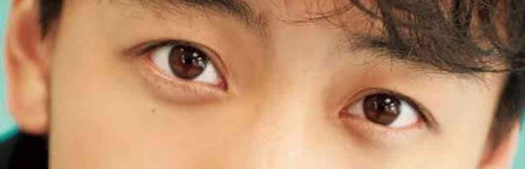 目だけで有名人を当ててください