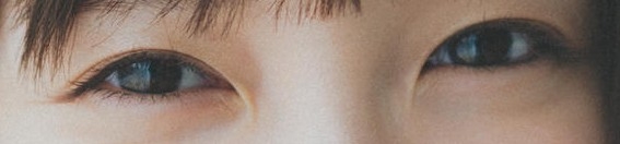 目だけで有名人を当ててください