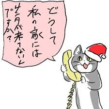 がるちゃん猫カフェ94号店開店しました♫(初めての方も大歓迎♫)