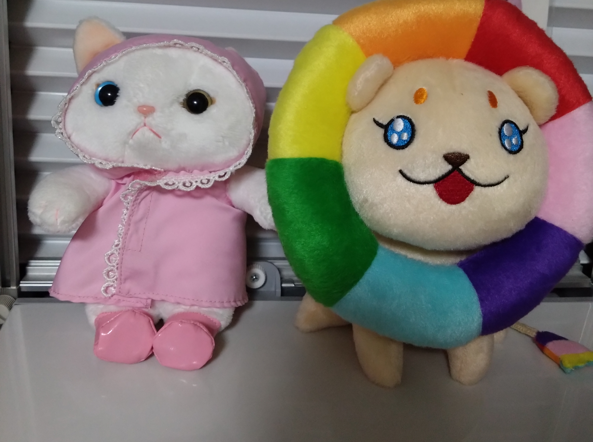 がるちゃん猫カフェ94号店開店しました♫(初めての方も大歓迎♫)