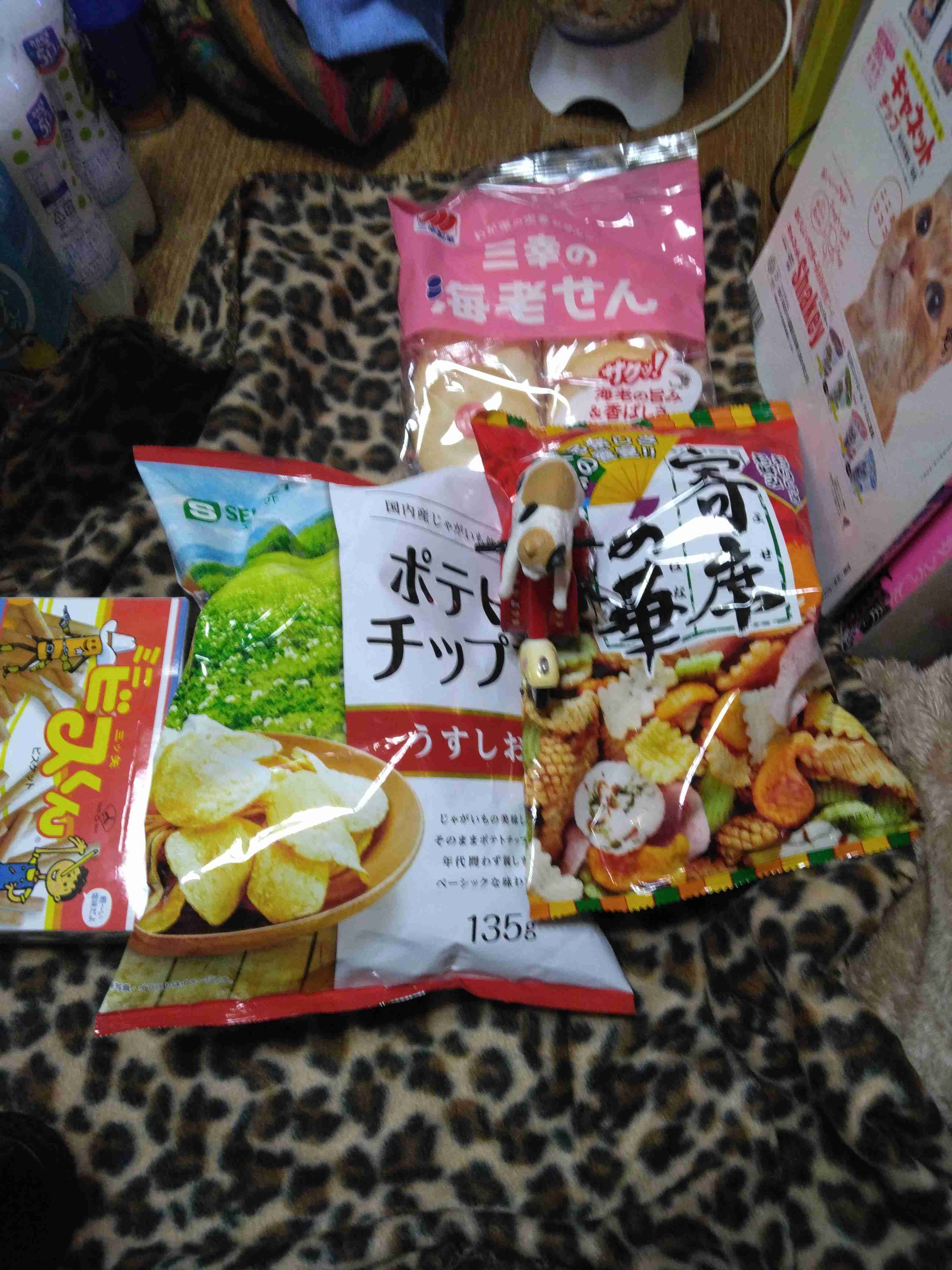 がるちゃん猫カフェ94号店開店しました♫(初めての方も大歓迎♫)