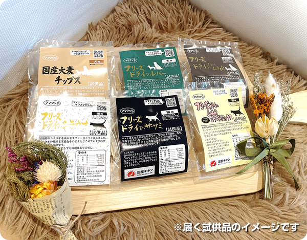 がるちゃん猫カフェ94号店開店しました♫(初めての方も大歓迎♫)