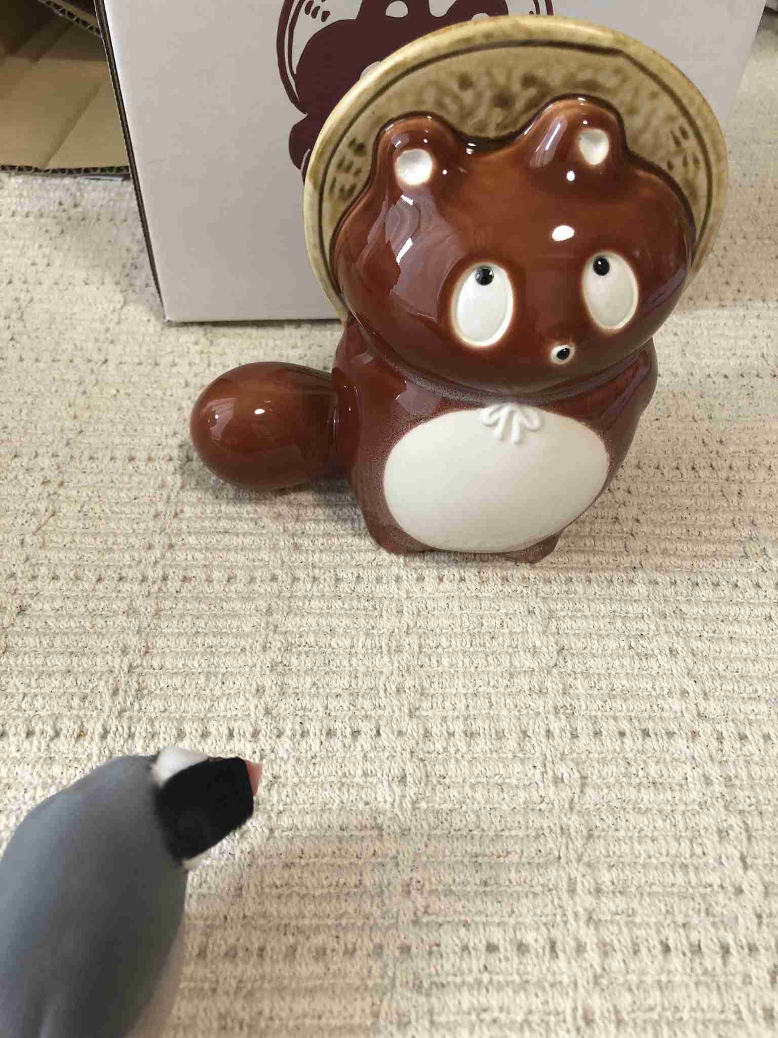 鳥(インコ、文鳥など)の素晴らしさを語り合うトピ