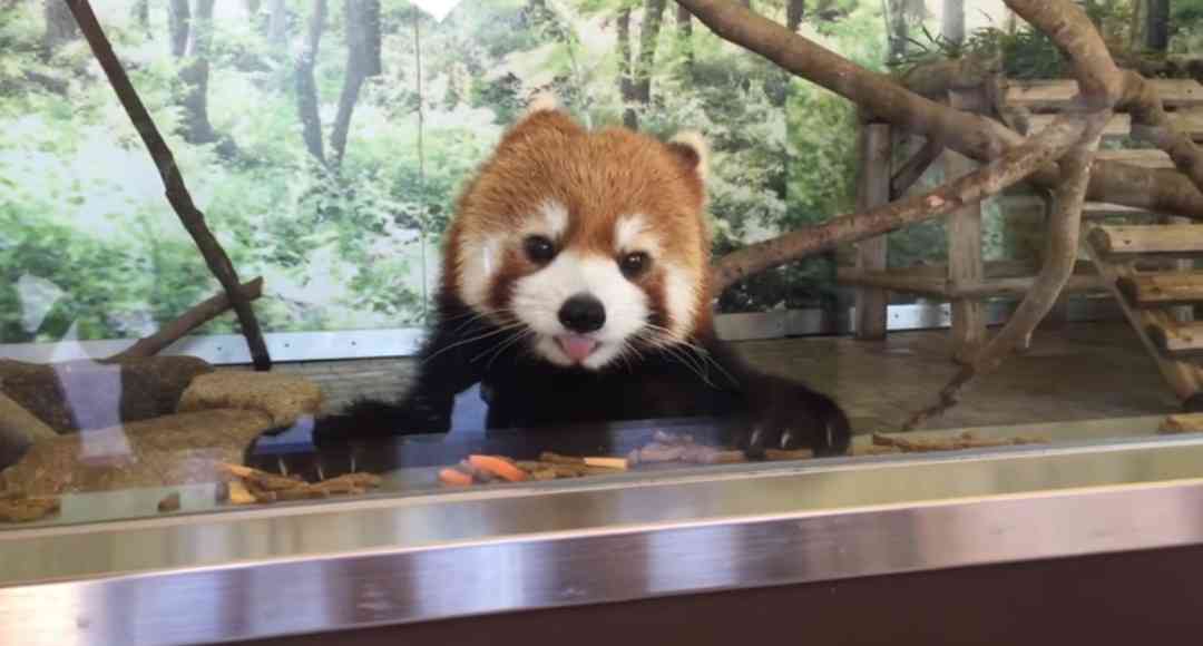 質問したらすごい早さで答えが返ってくるトピ Part6