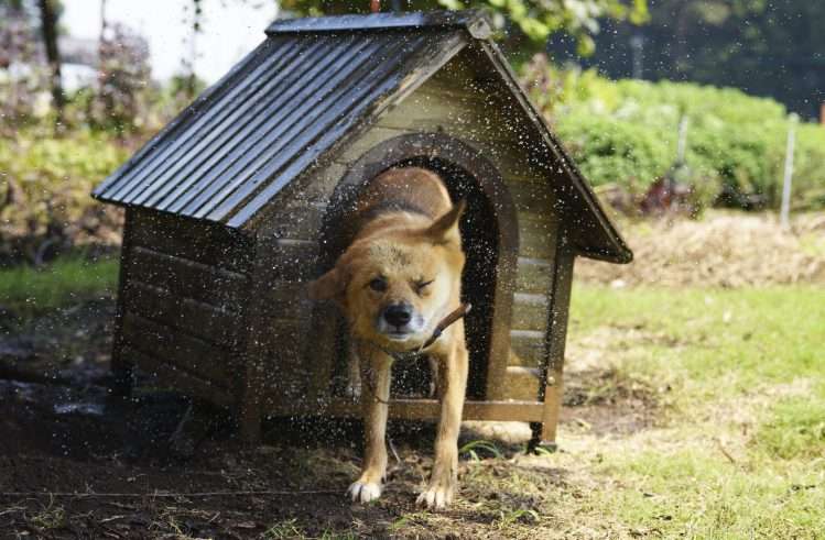 コレ復活してもいいのに…