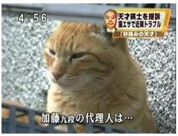 【夫婦不仲】宝くじが高額当選したら離婚する？しない？
