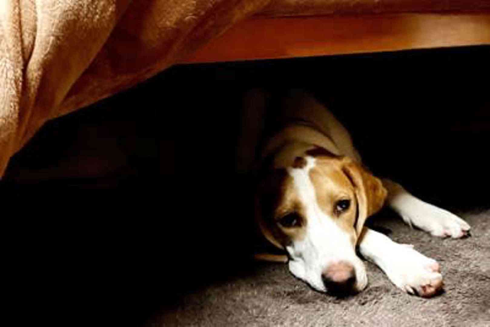 寒くて何もやる気がしない