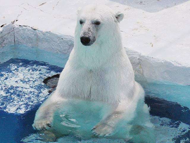 寒くて何もやる気がしない