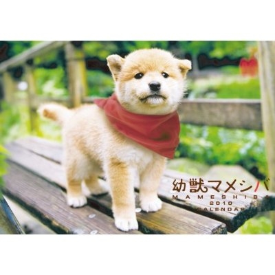 新生活するならこれ買っとけ！を教えてください