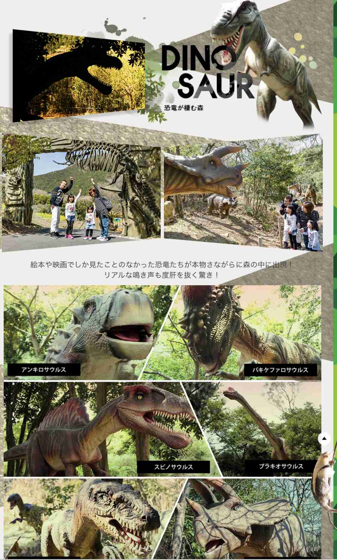 子供の誕生日旅行を計画しています