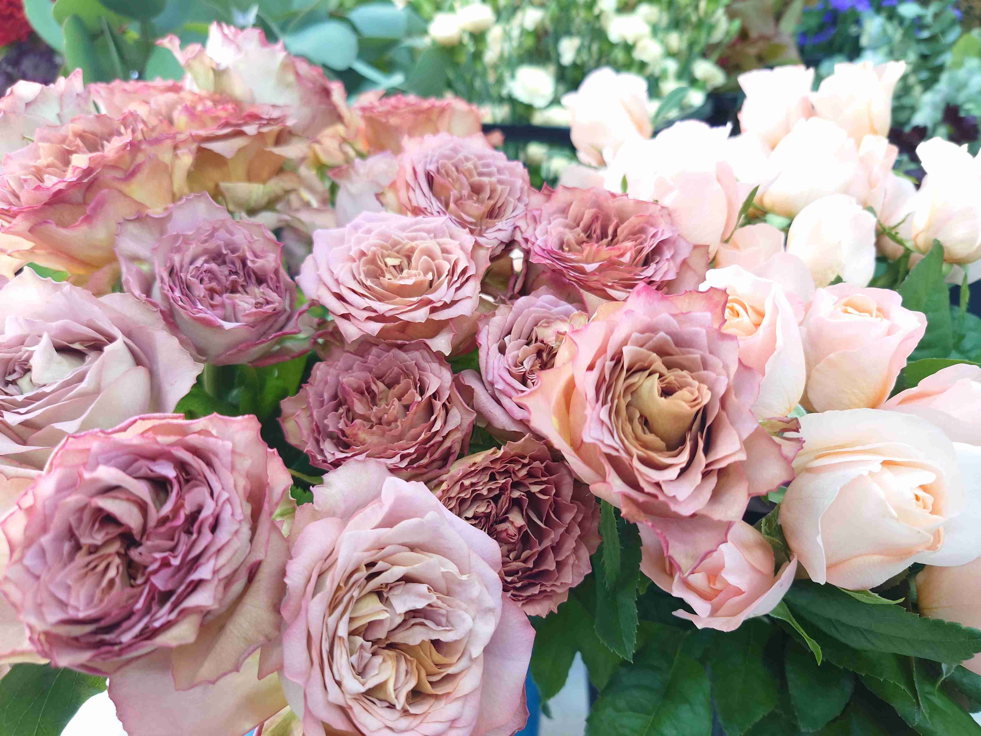 くすみピンク、スモーキーピンクの画像ください!