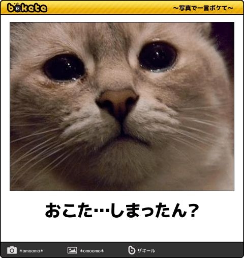 おじさんおばさんが言いがちなこと