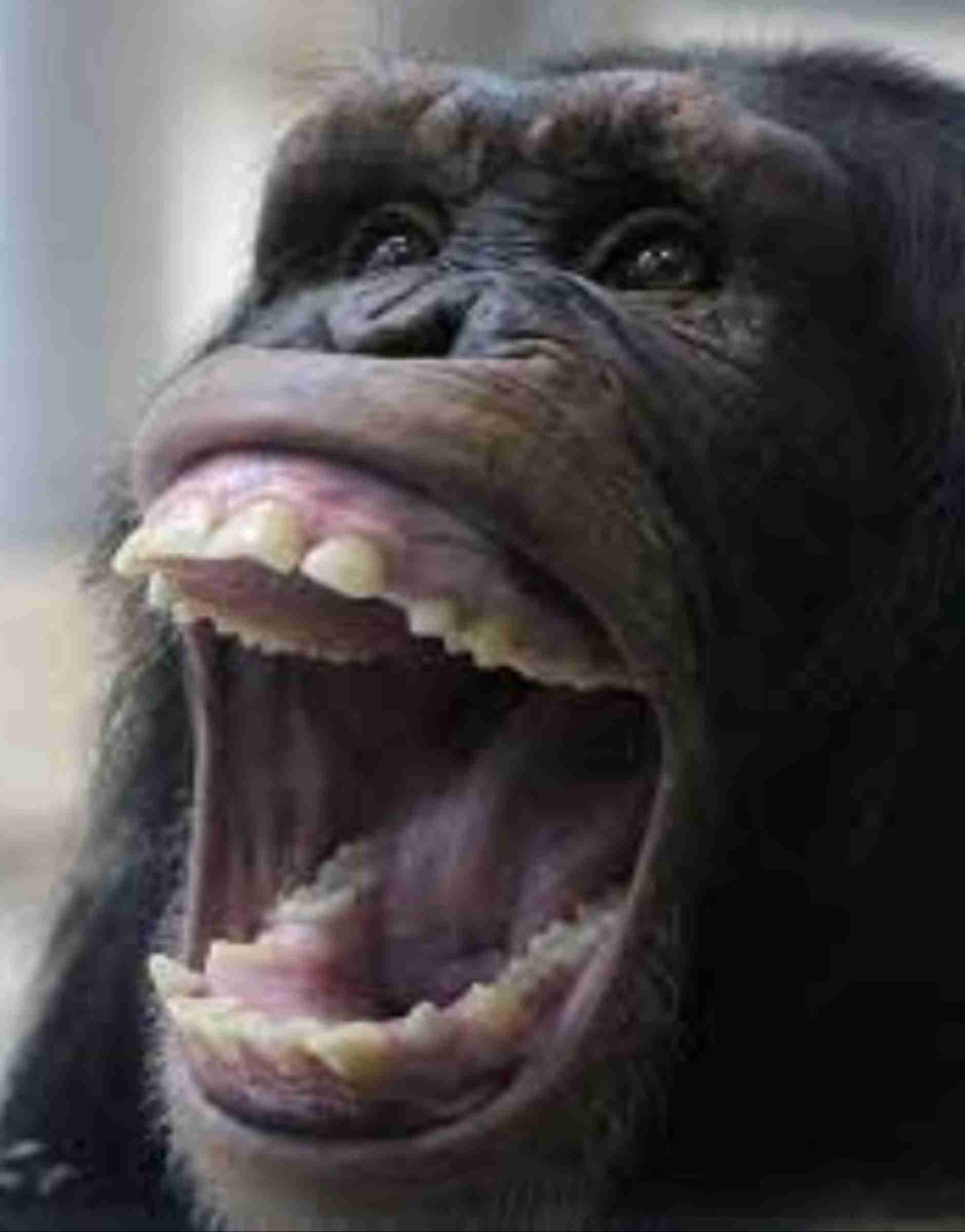 自分の代で家系が途絶える