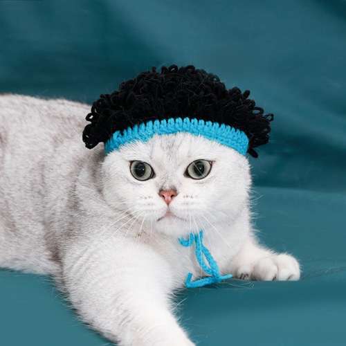 がるちゃん猫カフェ93号店開店しました♫(初めての方も大歓迎♫)