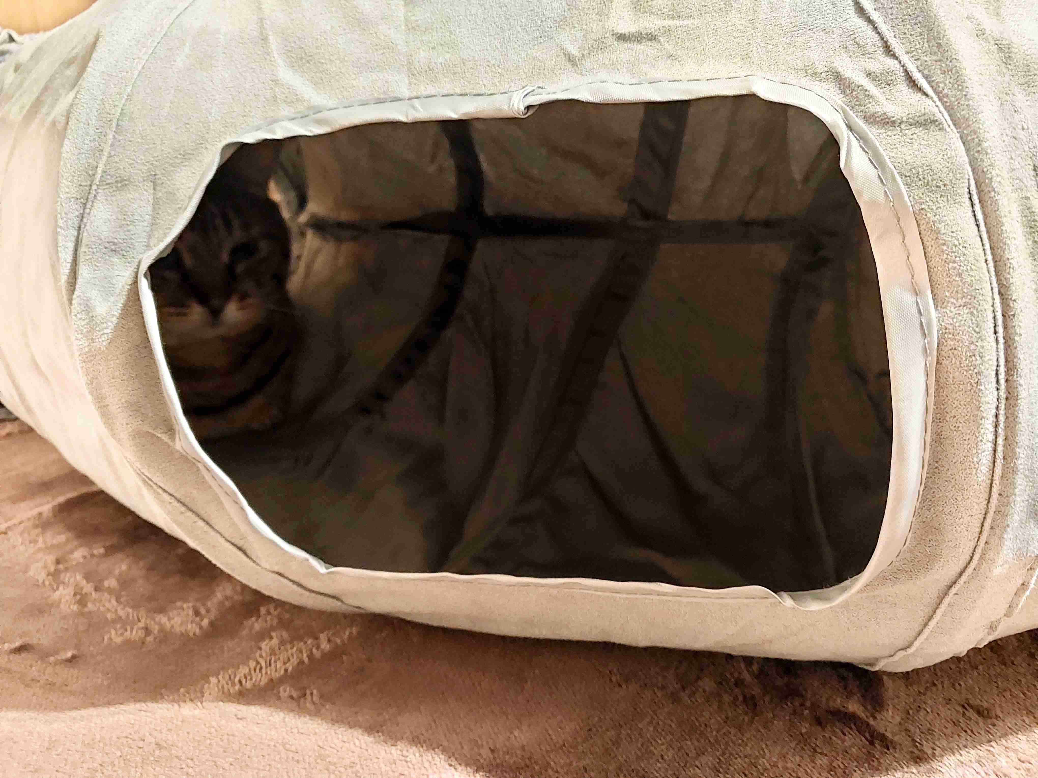 がるちゃん猫カフェ93号店開店しました♫(初めての方も大歓迎♫)