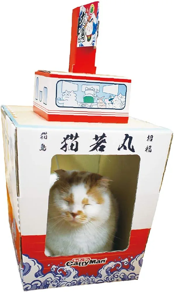 がるちゃん猫カフェ93号店開店しました♫(初めての方も大歓迎♫)