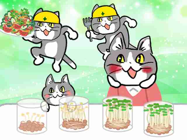 がるちゃん猫カフェ93号店開店しました♫(初めての方も大歓迎♫)