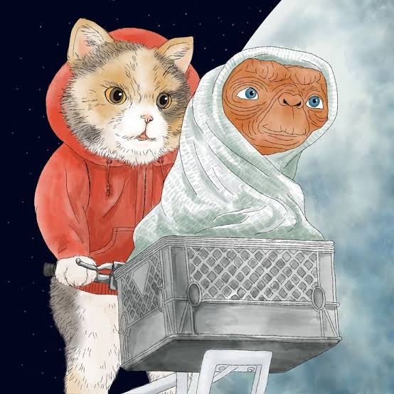 がるちゃん猫カフェ93号店開店しました♫(初めての方も大歓迎♫)