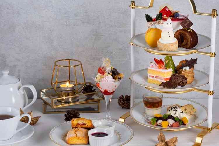 がるちゃん猫カフェ93号店開店しました♫(初めての方も大歓迎♫)