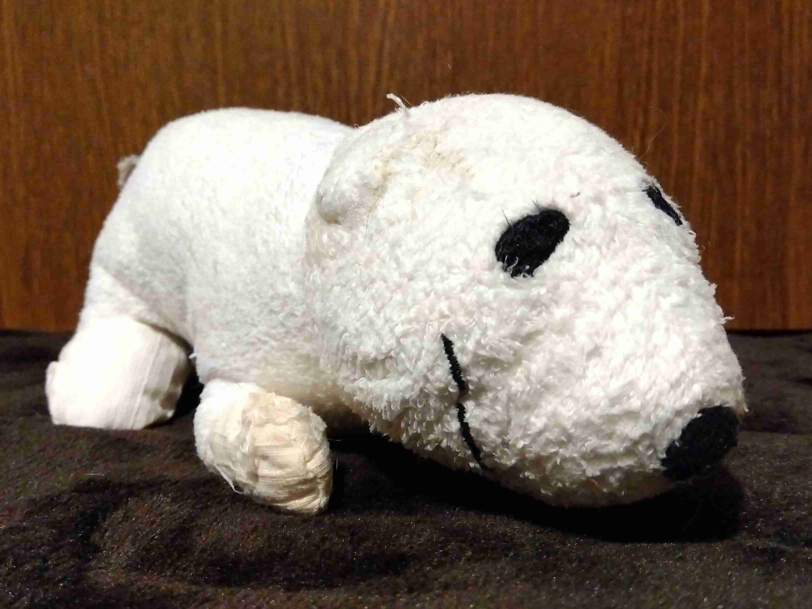 がるちゃん猫カフェ93号店開店しました♫(初めての方も大歓迎♫)