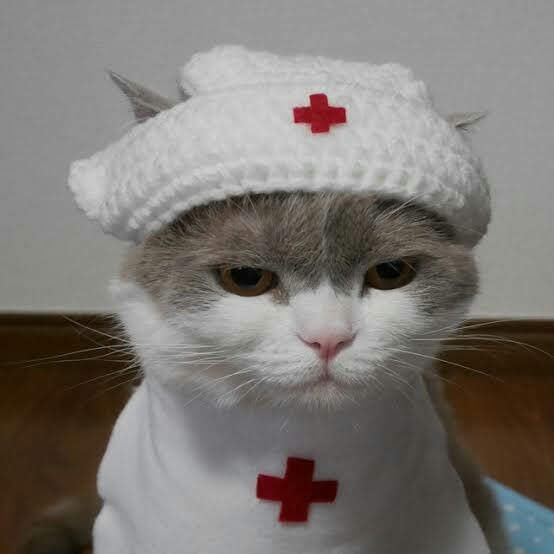 がるちゃん猫カフェ93号店開店しました♫(初めての方も大歓迎♫)