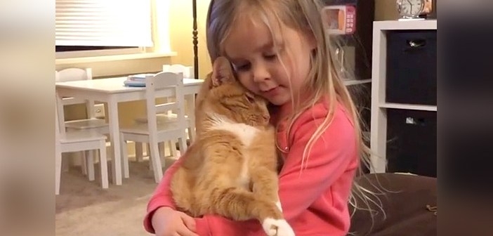 がるちゃん猫カフェ93号店開店しました♫(初めての方も大歓迎♫)