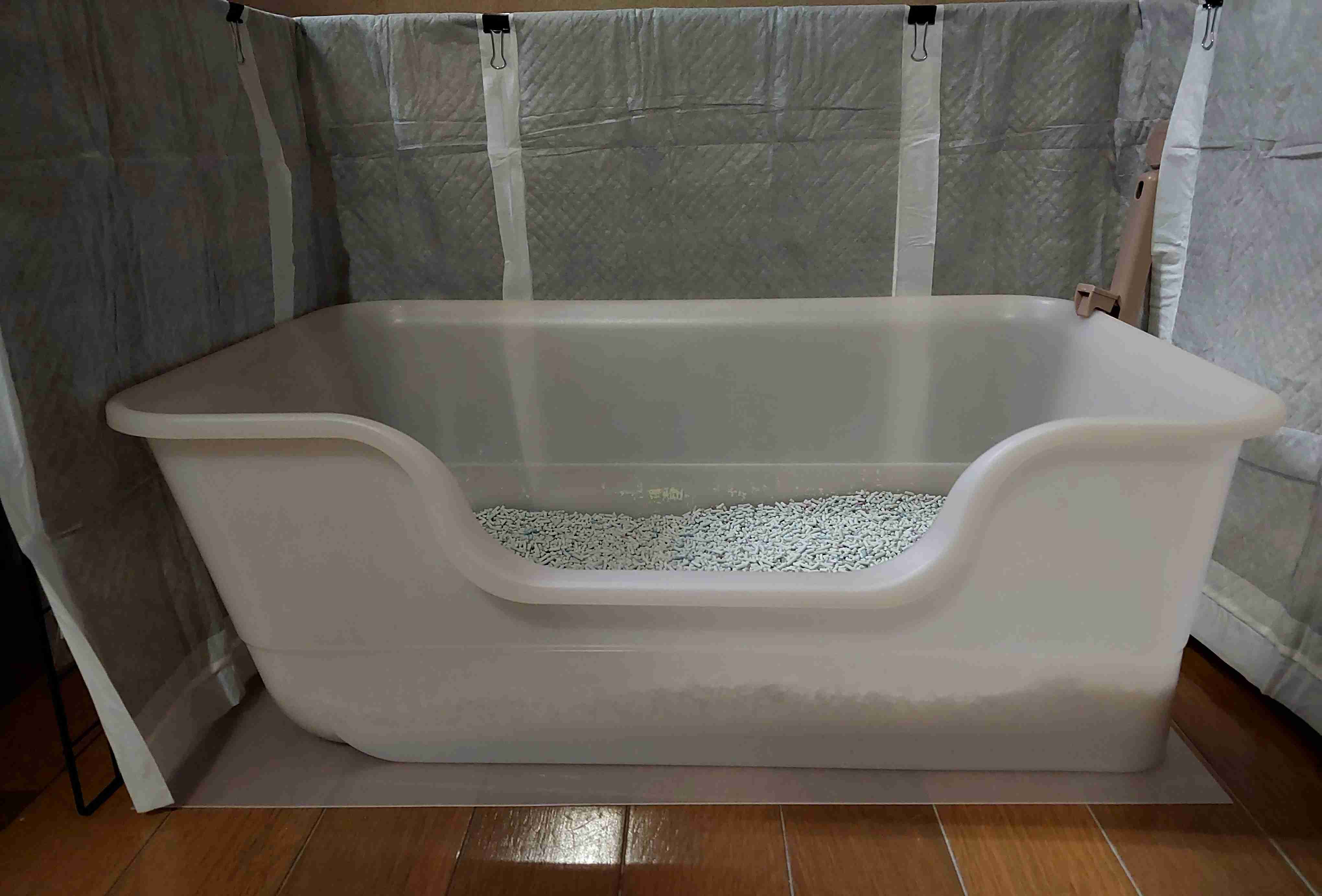 がるちゃん猫カフェ93号店開店しました♫(初めての方も大歓迎♫)