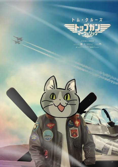 がるちゃん猫カフェ93号店開店しました♫(初めての方も大歓迎♫)