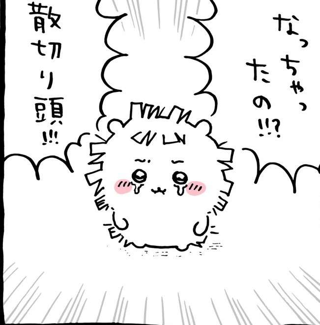 フッサフサな「毛量ちいかわ」ぬいぐるみ登場 → 一瞬で売り切れ 「ひどいよー」「誰が買えるん」とみんなちいかわ状態に