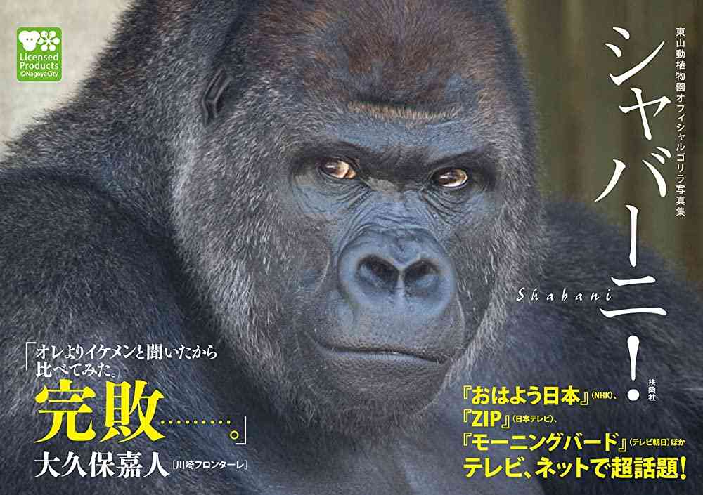 最近遭遇したイケメンPart2
