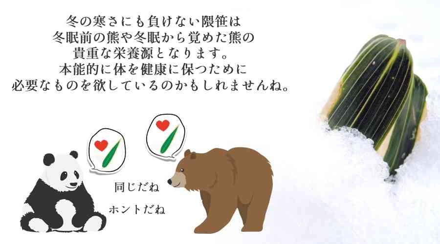 クマ人身被害212人 23年度、記録更新 環境省