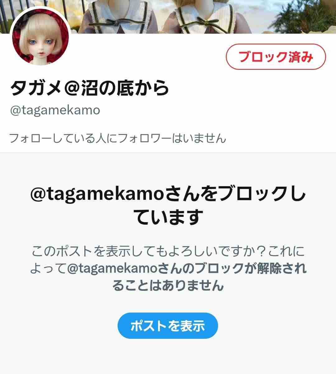 【今更ながら】Twitter(現X)始めたい【おすすめ教えて】