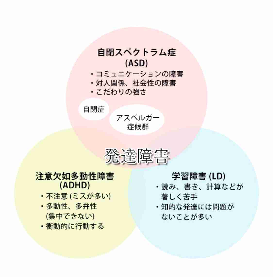 発達障害【ASD/ADHD】の【家事】