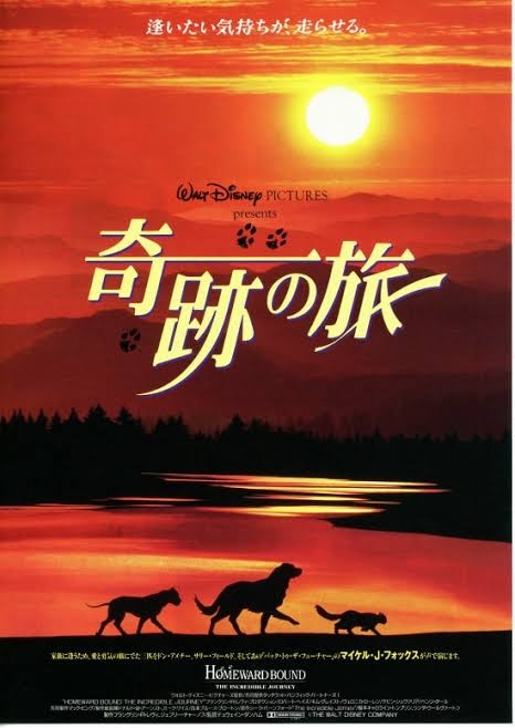 ディズニーで1番好きな映画