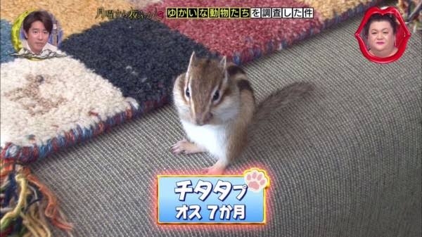 ゴールデンカムイ総合トピpart60