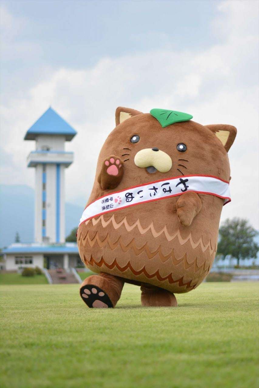 シャインマスカット発送できず、ふるさと納税返礼品2973件…担当者「山梨市の汚点になる」