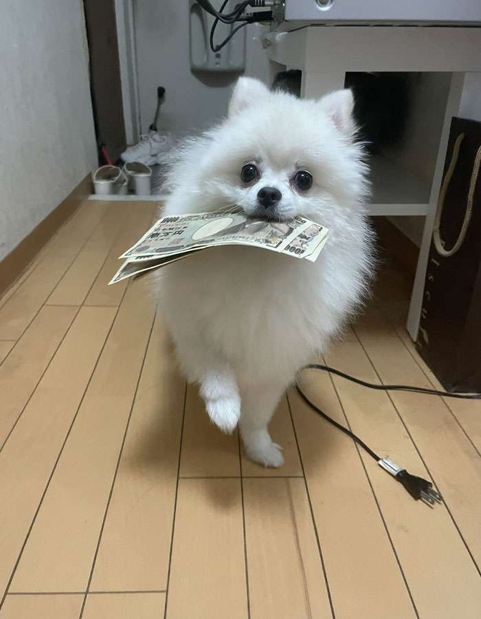 印象に残っている手土産